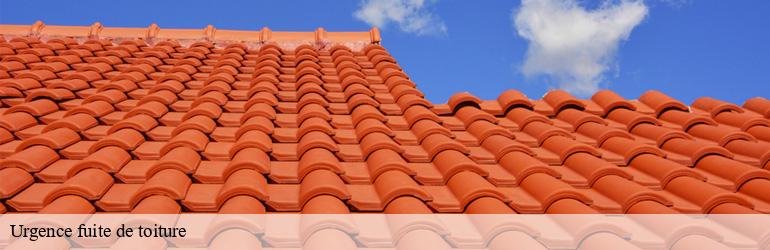 Urgence fuite de toiture saint-prix-07270 Uhlmann Couverture