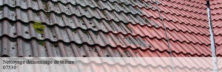 Nettoyage demoussage de toiture antraigues-sur-volane-07530 Landi Francois