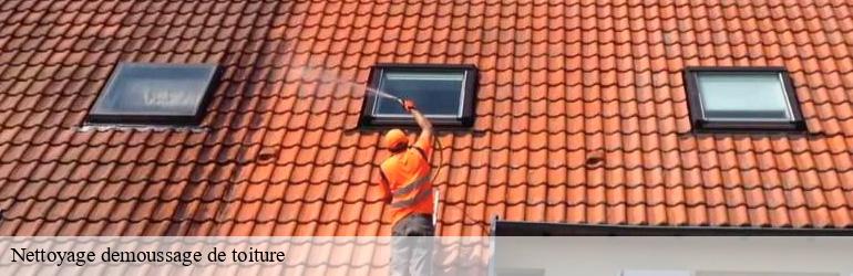 Nettoyage demoussage de toiture antraigues-sur-volane-07530 Landi Francois
