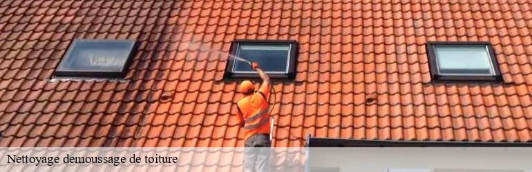 Nettoyage demoussage de toiture  gravieres-07140 Uhlmann Couverture